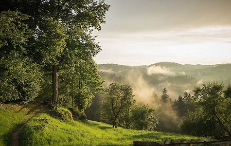 Titelbild von Wanderwege fitmachen
