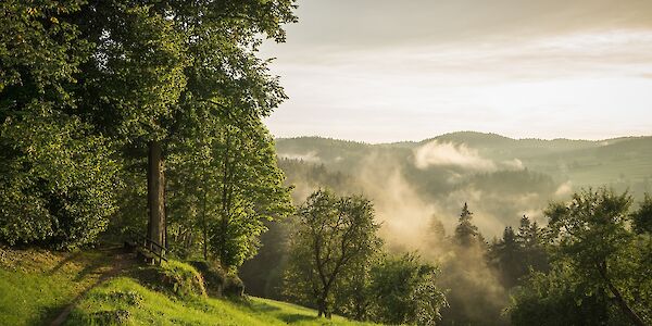 Wanderwege fitmachen