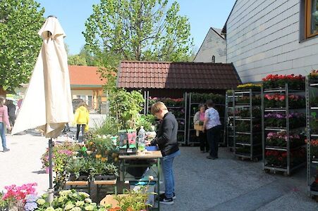 Titelbild von Kaumberger Pflanzenmarkt - Alles rund um den Garten