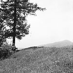 ID: 1620827 nach dem roten Kreuz/Blick aufs Hocheck (1942), Urheber: P. Engler, Besitzer: R. Engler