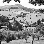 ID: 1621277 Blick ins Laabachtal (1943), Urheber: Schneider/Engler, Besitzer: R. Engler
