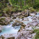 @ Christel auf Pixabay