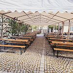 Bild 2 von Fotos von Veronika Wimmer