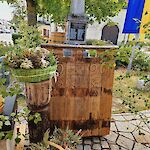 Bild 4 von Fotos von Veronika Wimmer