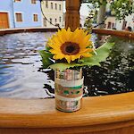 Bild 6 von Fotos von Veronika Wimmer