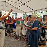 Bild 7 von Fotos von Veronika Wimmer