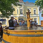 Bild 34 von Fotos von Veronika Wimmer