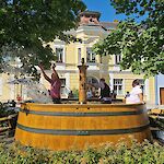 Bild 39 von Fotos von Veronika Wimmer