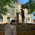 Bild 6 von Fotos von Barbara Steiner
