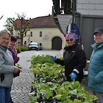 Foto: Alexander Fritsch