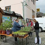 Foto:  Doris Radinger