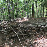 Bild 3 von Galerie