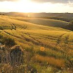 anto-dc auf Pixabay