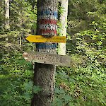 Bild 8 von Galerie