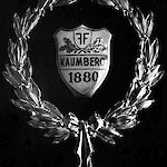 ID 267778 Feuerwehrabzeichen (1880), Urheber: unbekannt, Besitzer: FF Kaumberg
