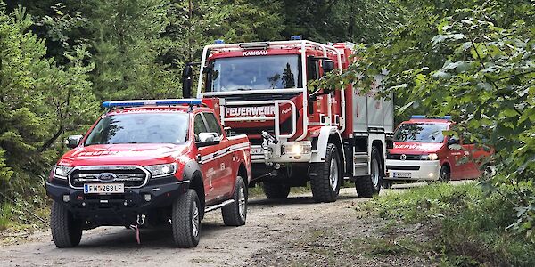 Teamwork im Gebirge: Feuerwehr und Bergrettung proben Waldbrandeinsatz
