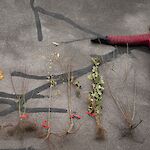 Bild 4 von Galerie