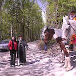 ID 1257826 Georgsfest auf der Araburg (2009), Besitzer und Urheber: Marktgemeinde Kaumberg