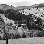 ID 1644263 Blick ins Laabachtal (1943), Besitzer: Museum Kaumberg, Urheber: Schneider-Engler