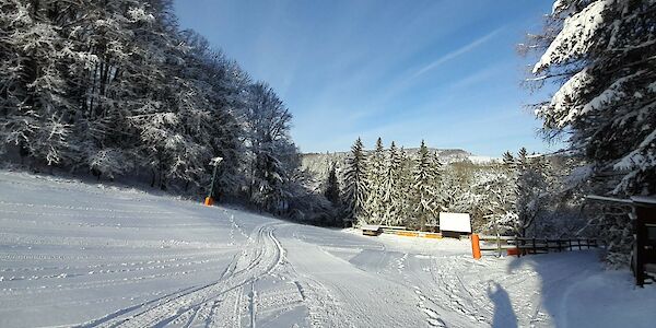 Warmes Wetter und Regen verhindern Schibetrieb am Sonntag