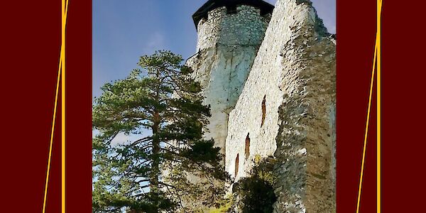 Buchpräsentation der besonderen Art