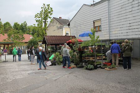 Titelbild von Kaumberger Pflanzenmarkt 2026 - Alles rund um den Garten