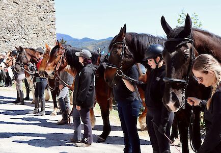 Titelbild von Pferdesegnung auf der Araburg