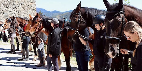 Pferdesegnung auf der Araburg