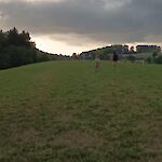 Bild 9 von Galerie