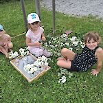 Bild 1 von Die Kinder waren auch bei Vorbereitung mit Feuereifer dabei