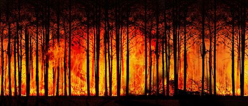 Titelbild von ACHTUNG: Trockenheit & Waldbrandgefahr!
