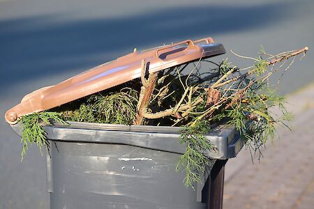 Titelbild von Biotonnen wurden nicht entleert