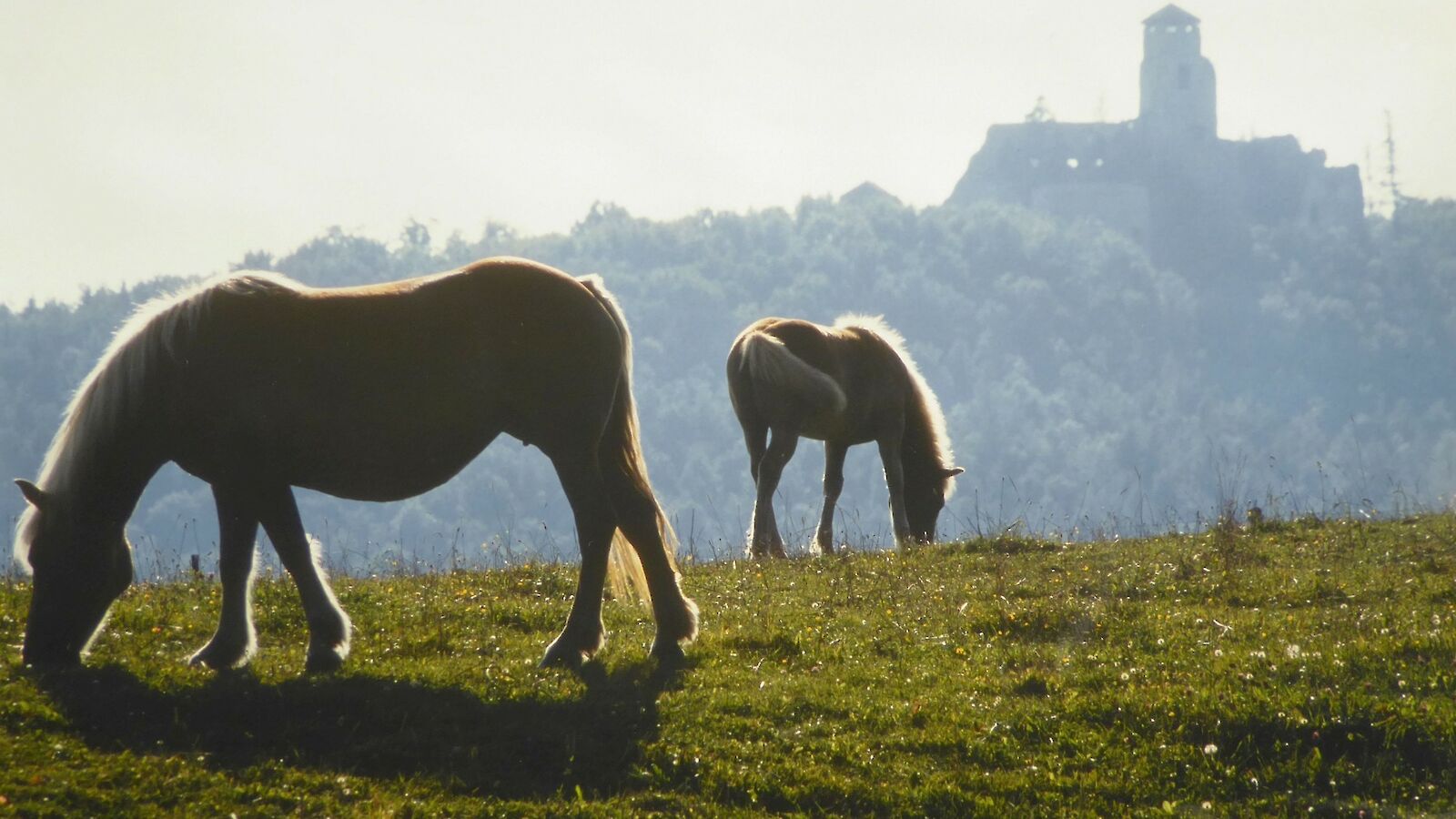 Kaumberg im Triestingtal ...mit der Natur im Einklang