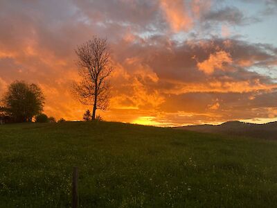 Titelbild von Wunderbare Abendstimmung