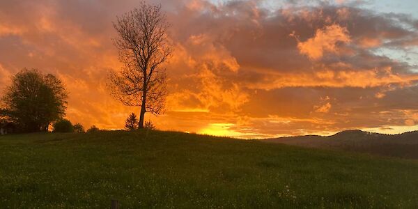 Wunderbare Abendstimmung