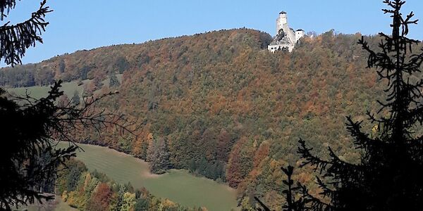 Die Anfänge von Kaumberg