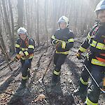 Bild 1 von Bilder vom Waldbrandeinsatz