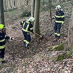 Bild 3 von Bilder der Waldbrandschulung