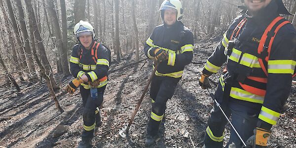 Kartografisches Großprojekt zur effektiven Bekämpfung von Waldbränden