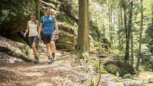 Titelbild von Richtiges Verhalten im Wald mit gewissen "Spielregeln"