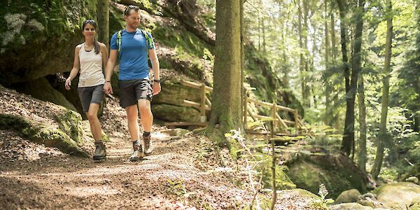 Richtiges Verhalten im Wald mit gewissen "Spielregeln"