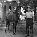ID: 274790, Der Fuhrwerker und sein Pferd (1939), Urheber: unbekannt, Besitzer: E. Hantschel