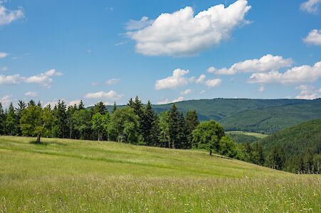 Titelbild von Vielfältige Natur in Kaumberg - Lebensraum Biosphärenpark Region Wienerwald