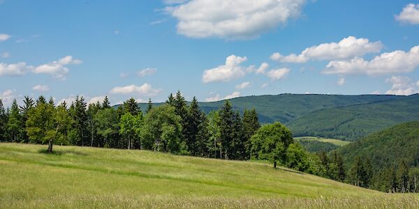 Vielfältige Natur in Kaumberg - Lebensraum Biosphärenpark Region Wienerwald