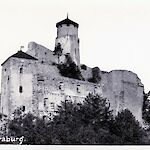 ID: 238006, Araburg (1920-iger Jahre ?), Urheber: unbekannt, Besitzer: Marktgemeinde Kaumberg