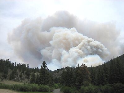 Titelbild von Waldbrandverordnung tritt mit sofortiger Wirkung in Kraft
