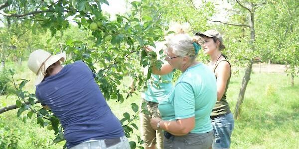 Obstbaumschnittkurs in Kaumberg - Anmeldung ab sofort möglich!