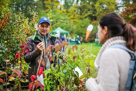 Titelbild von Vielseitiges Programm beim Obstbaumtag in Kaumberg