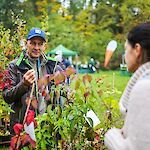 Obst- und GartenfreundInnen erwartet am 14. Oktober 2023 von 12 bis 17 Uhr ein buntes Programm am Obstbaumtag des Biosphärenpark Wienerwald Managements und der Marktgemeinde Kaumberg! Fotonachweis: BPWW/N. Novak