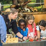 Beim Kinderprogramm konnten die kleinen BesucherInnen Nützlingshotels für Zuhause basteln. Foto: BPWW/N.Novak